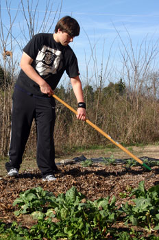 A young volunteer raking a bed in the community garden.
